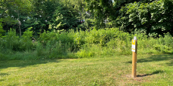 Naturalized space