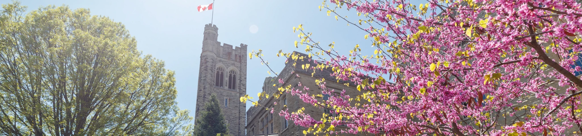 University College tower and Eastern Redbud tree