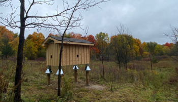 Barnswallow nesting structure