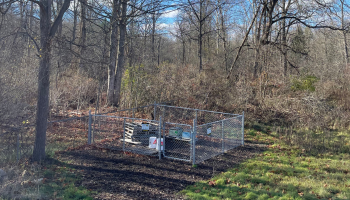 Bee hives
