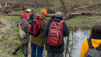 People standing outside in the forest