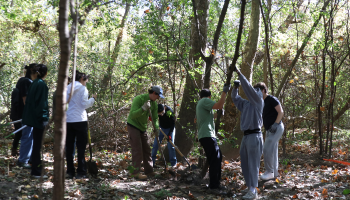 People outside in the forest