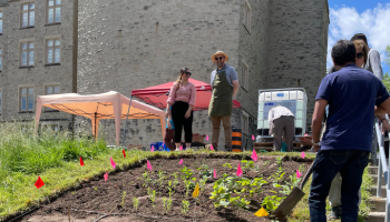 People standing next to a garden plot