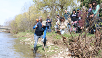 People standing along the bank of Medway Creek, planting live stakes
