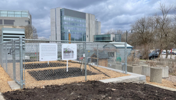 Outdoor garden plots