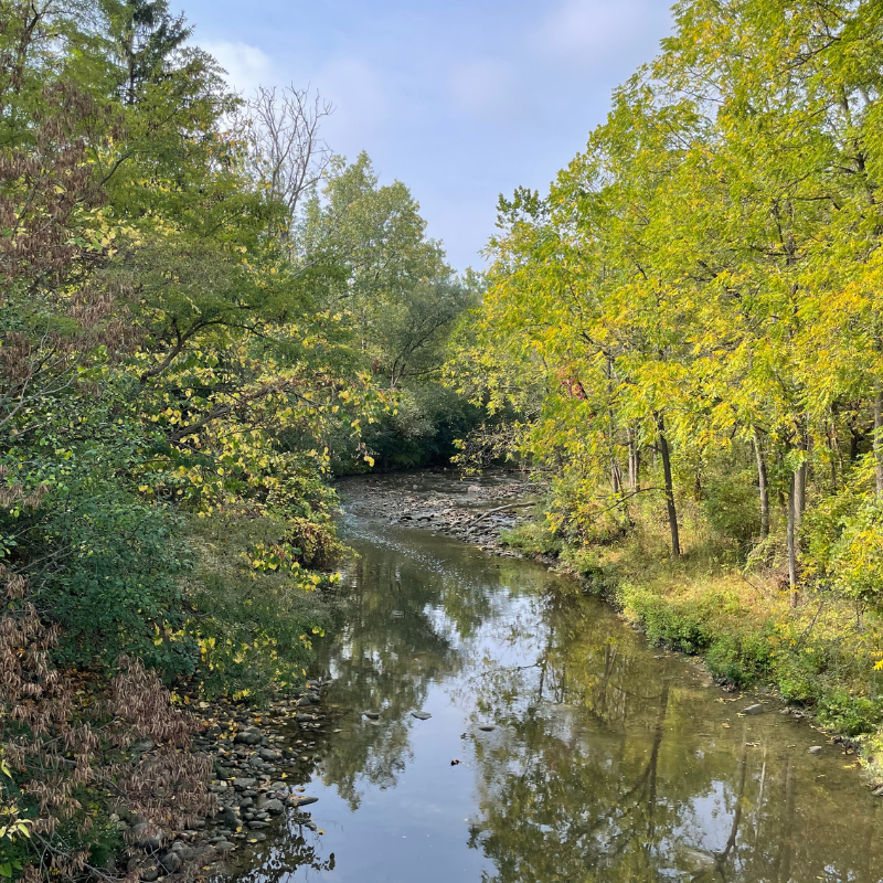 Thames River / Deshkan Ziibi