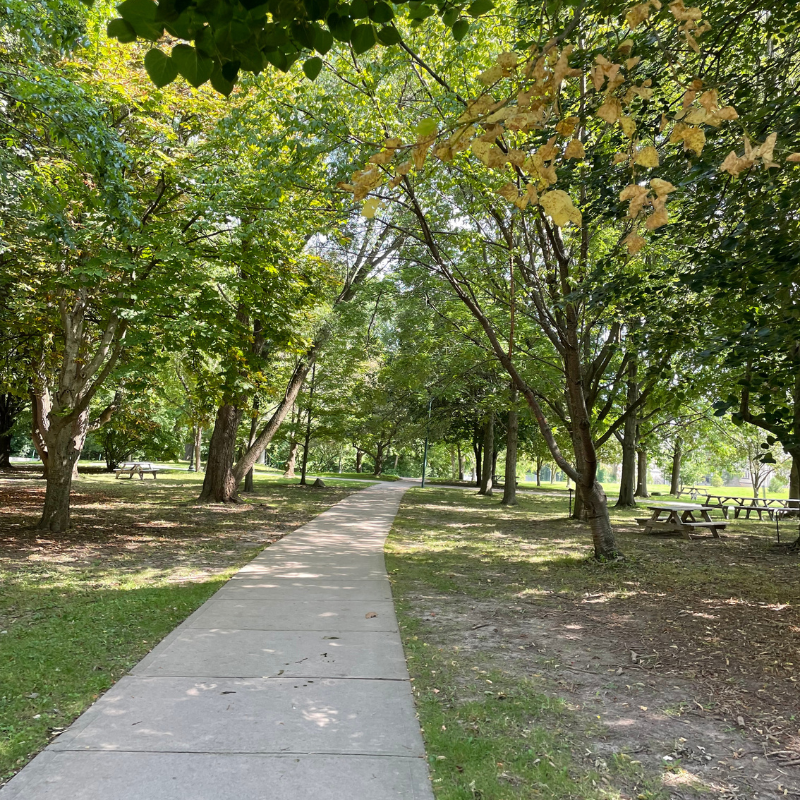 Arboretum