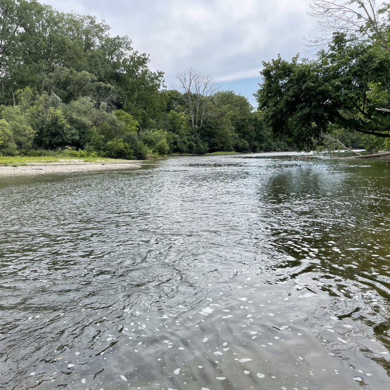 Thames River / Deshkan Ziibi