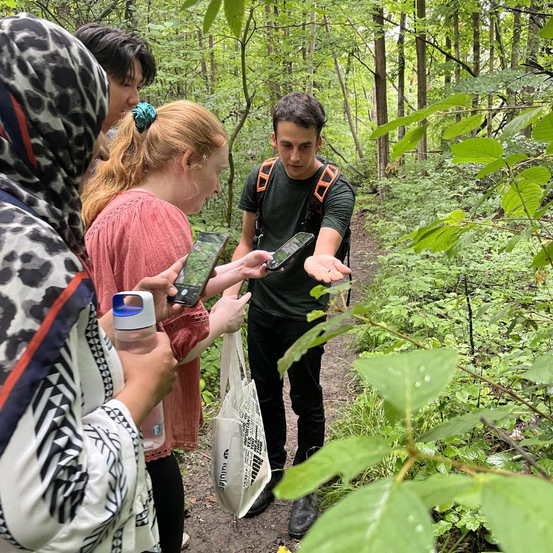 People on a walk outside taking a photo of a bug