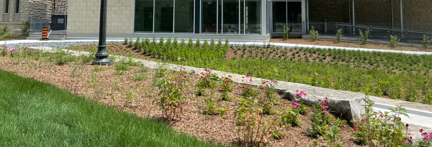 Music rain garden