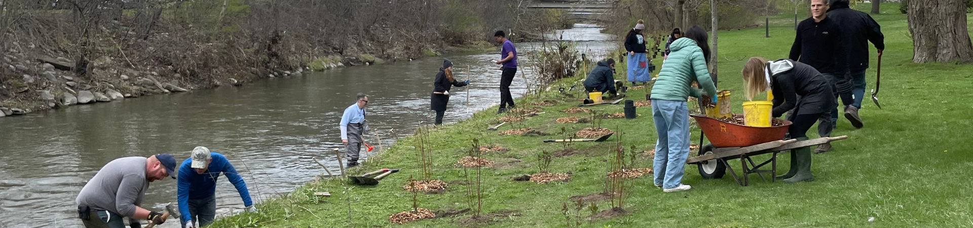 People planting