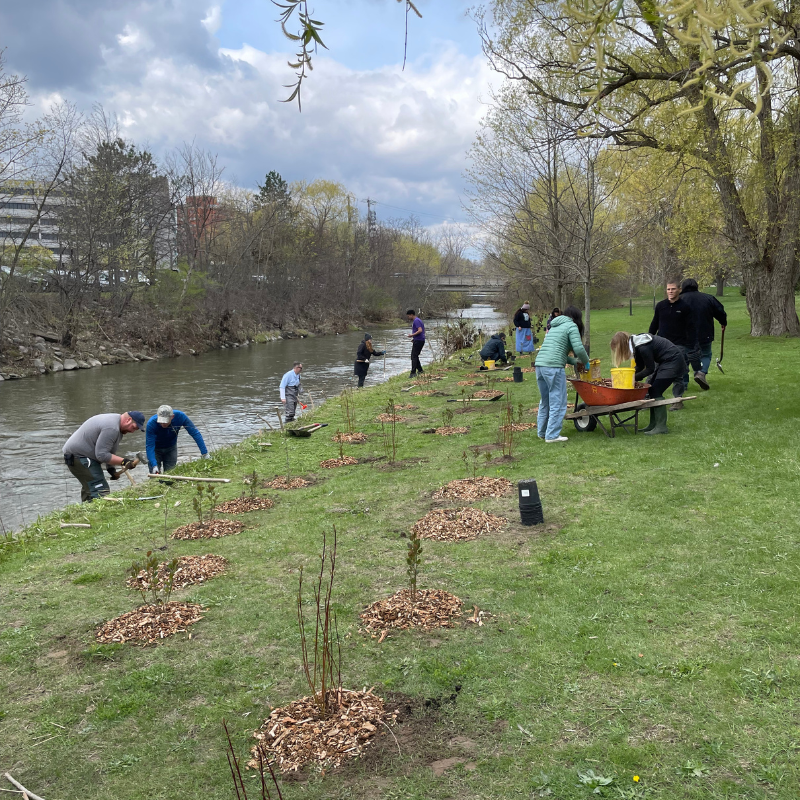People planting