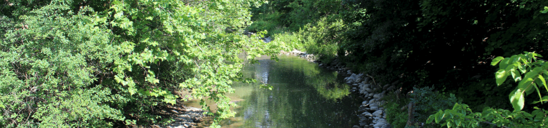 Medway Creek