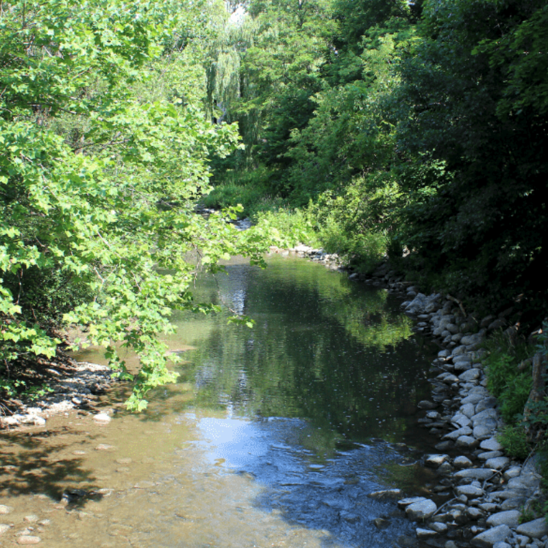 Medway Creek
